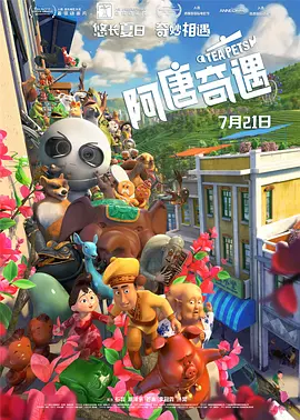 小圈文化实践视频