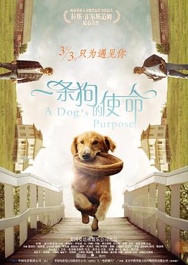 色网在线观看