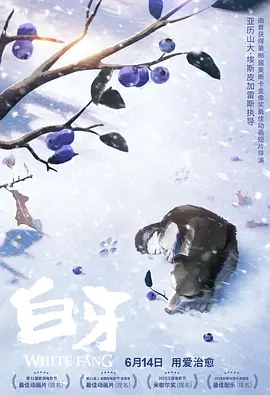 日韩视频在线观看一区