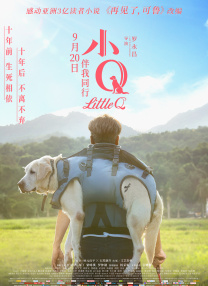 成年视频在线观看免费